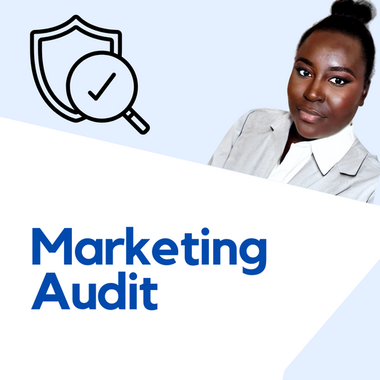 Marketing Audit